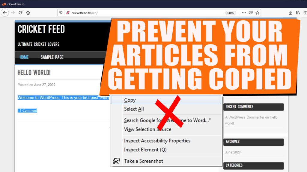 PREVENT COPYING FROM WEBPAGE