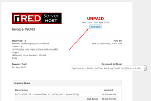 How to pay an invoice at RedServerHost using PayU money