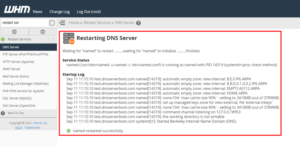 DNS Services Restarted Successfully