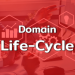 Domain Life Cycle Feature