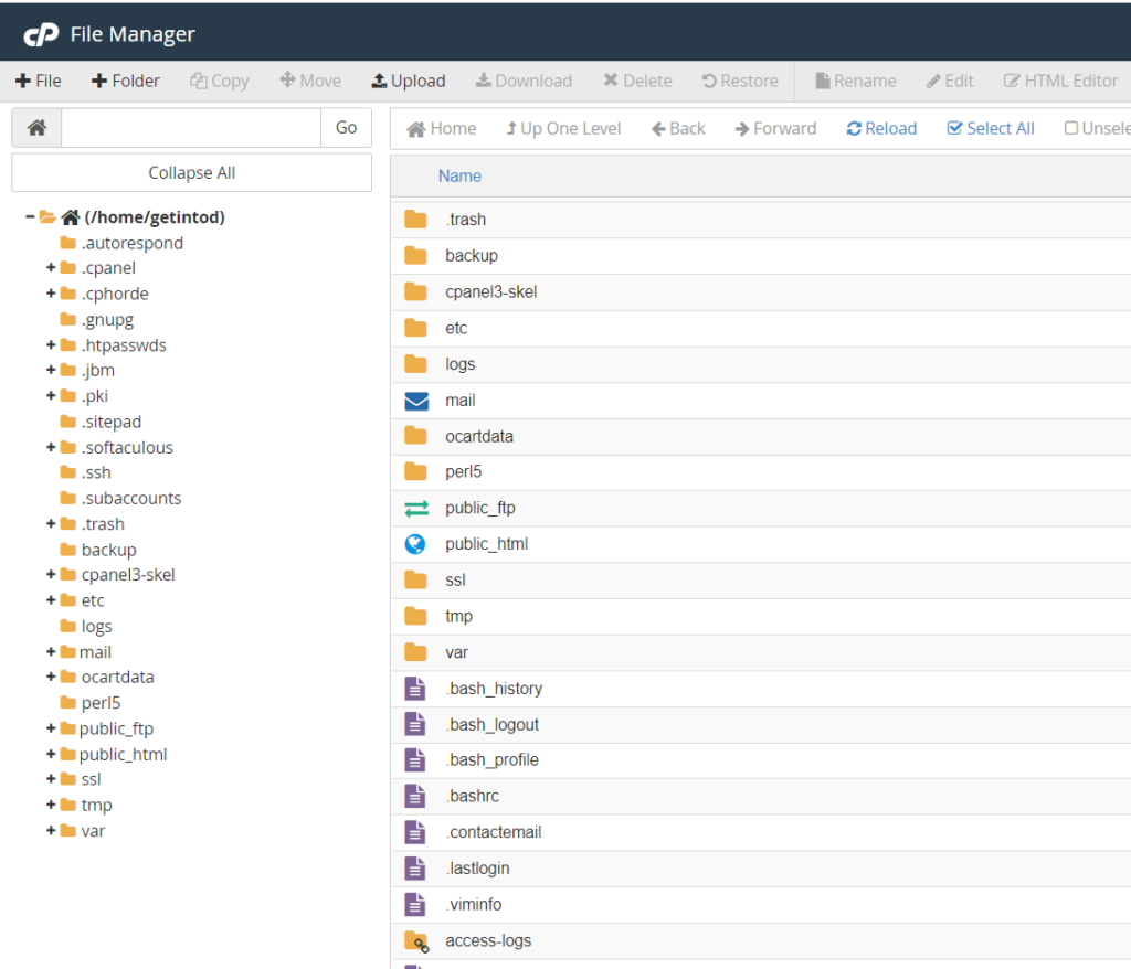 File Manager Section in cPanel
