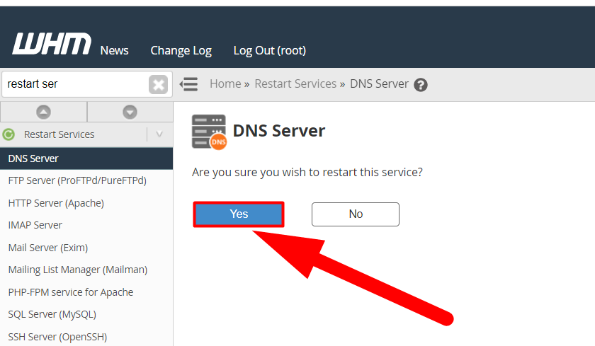 Restart DNS Server Services