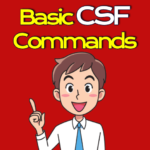 Basic and useful csf commands