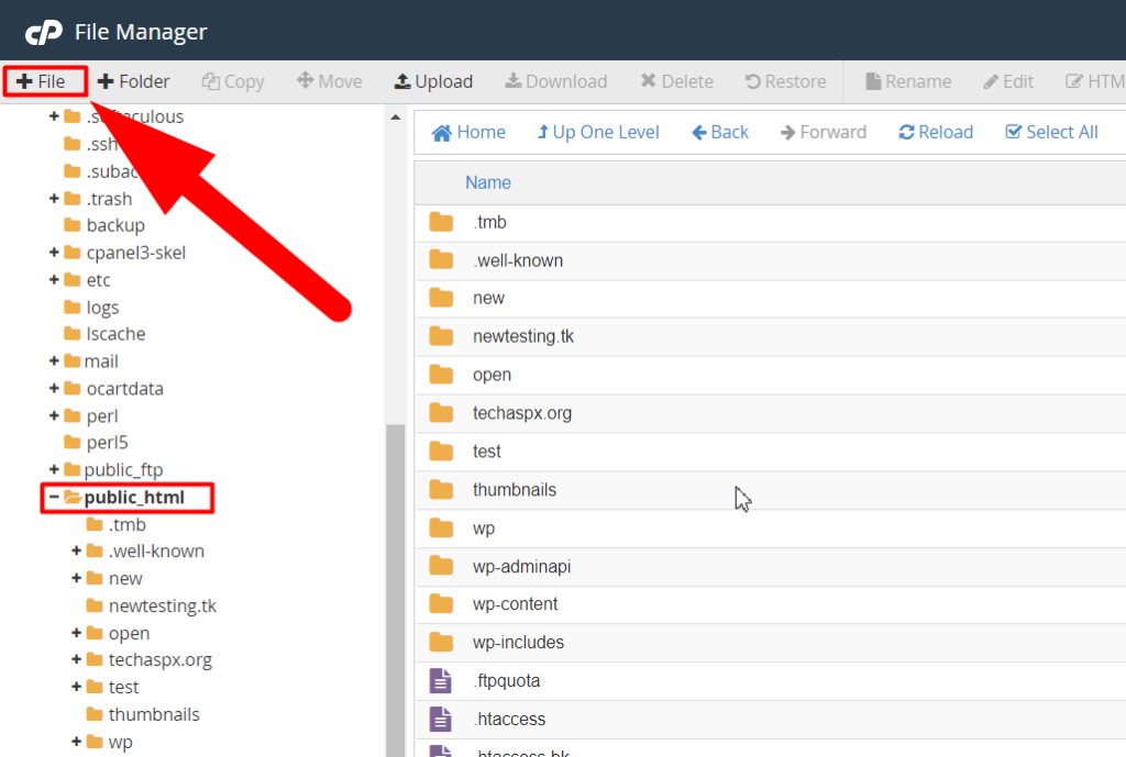 How To Run Shell Commands Via PHP File In CPanel Red Server Host
