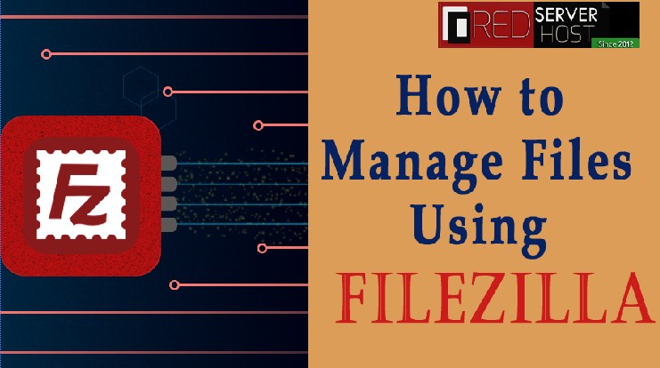 Manage Files Through FileZilla