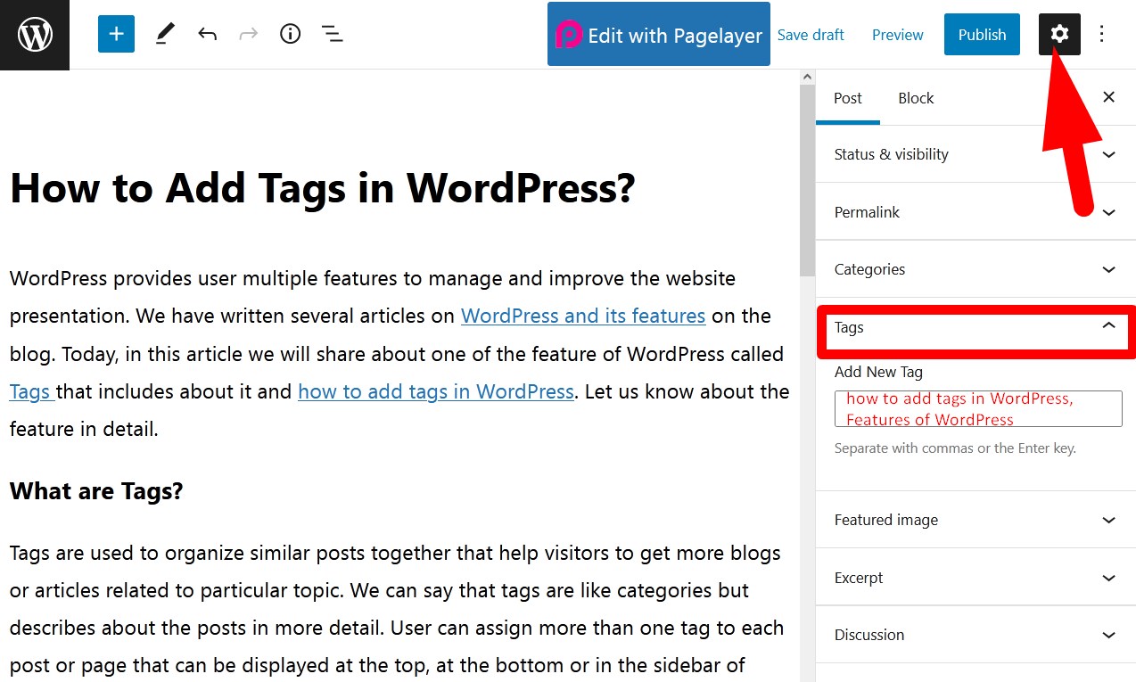 Add Tags in WordPress while creating New Post