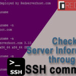 Check Server Information via SSH
