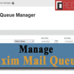Manage Exim Mail Queue in Server