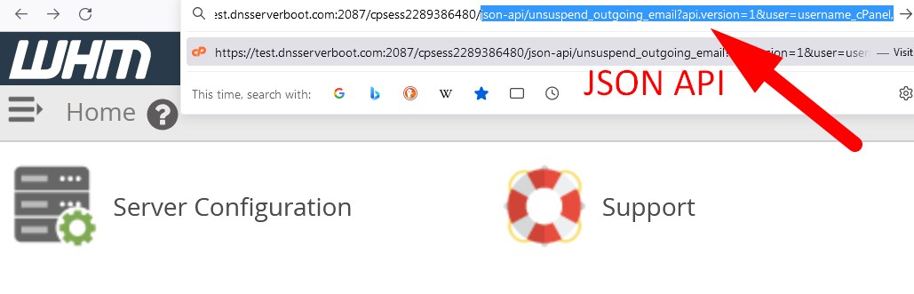 JSON API to Unsuspend Outgoing Emails